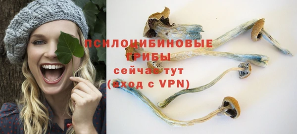 дурь Аркадак