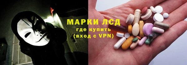 спайс Арсеньев