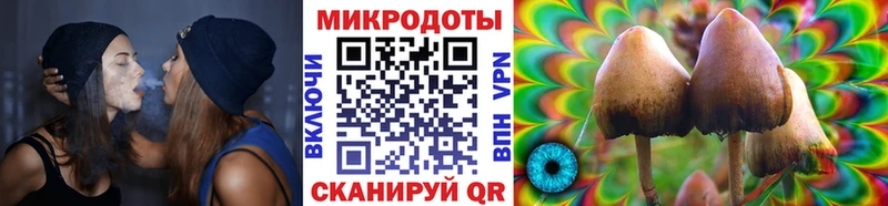 что такое наркотик  Лукоянов  Галлюциногенные грибы GOLDEN TEACHER 